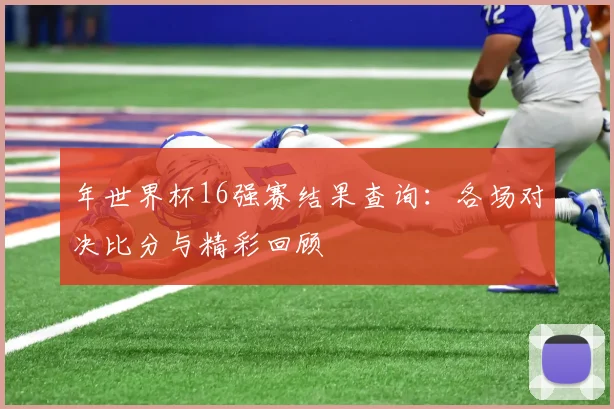 年世界杯16强赛结果查询：各场对决比分与精彩回顾