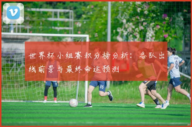 世界杯小组赛积分榜分析：各队出线前景与最终命运预测