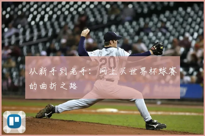 从新手到老手:网上买世界杯球赛的曲折之路