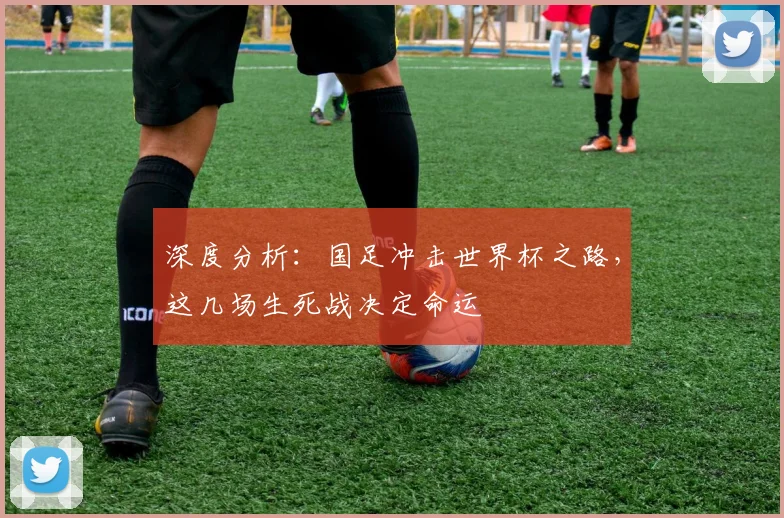 深度分析：国足冲击世界杯之路，这几场生死战决定命运