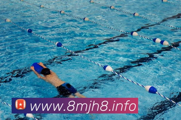 九游j9官方网站发展历程